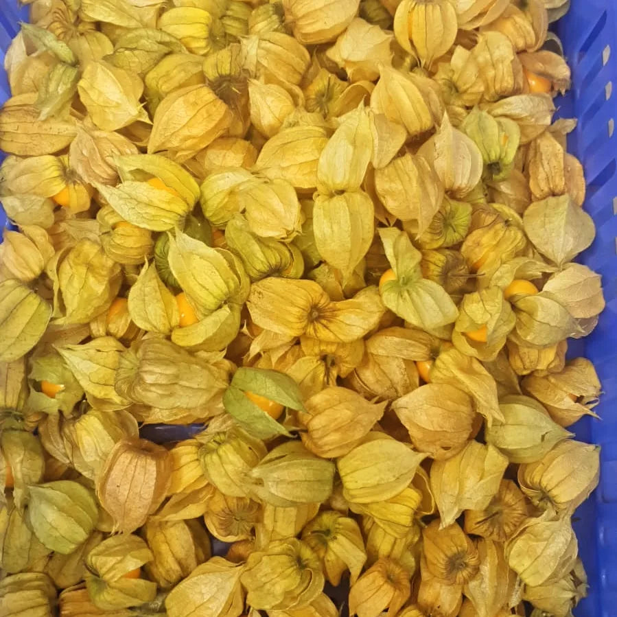 Uchuva or Gooseberries