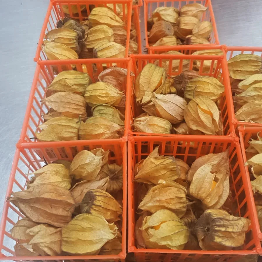Uchuva or Gooseberries