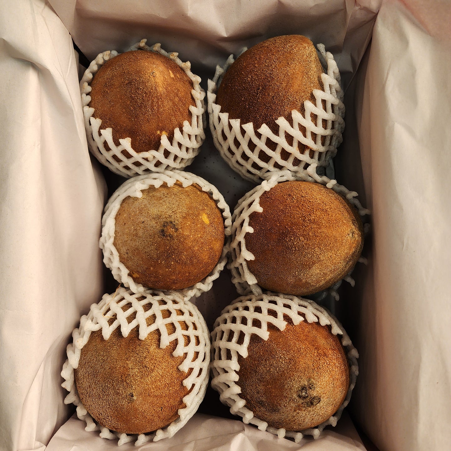 Mamey Sapote 5 Pounds Free Shipping