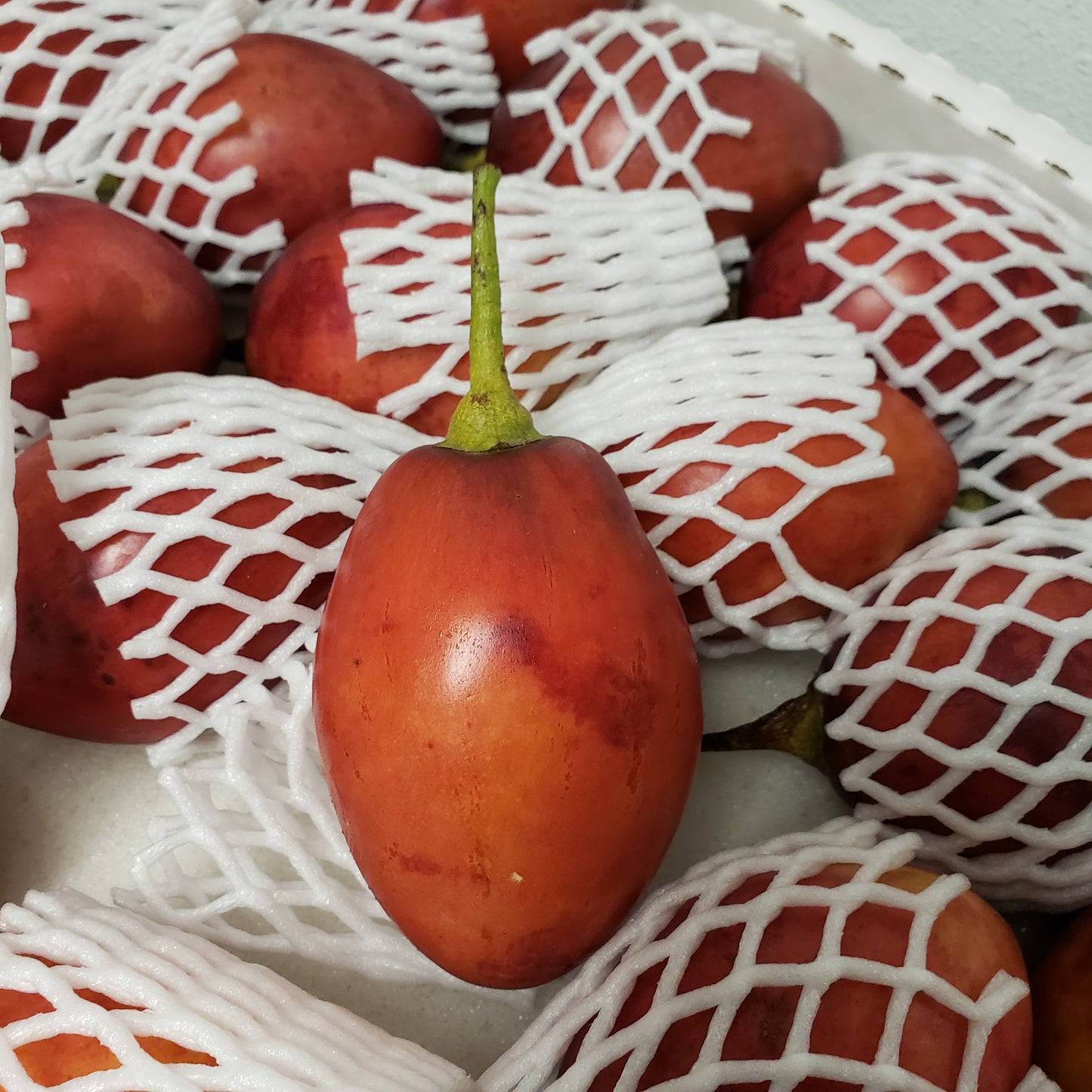 Tomate de Arbol, Tree Tomato Per Box