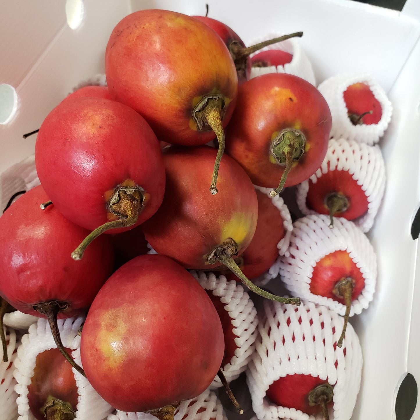 Tomate de Arbol, Tree Tomato Per Box