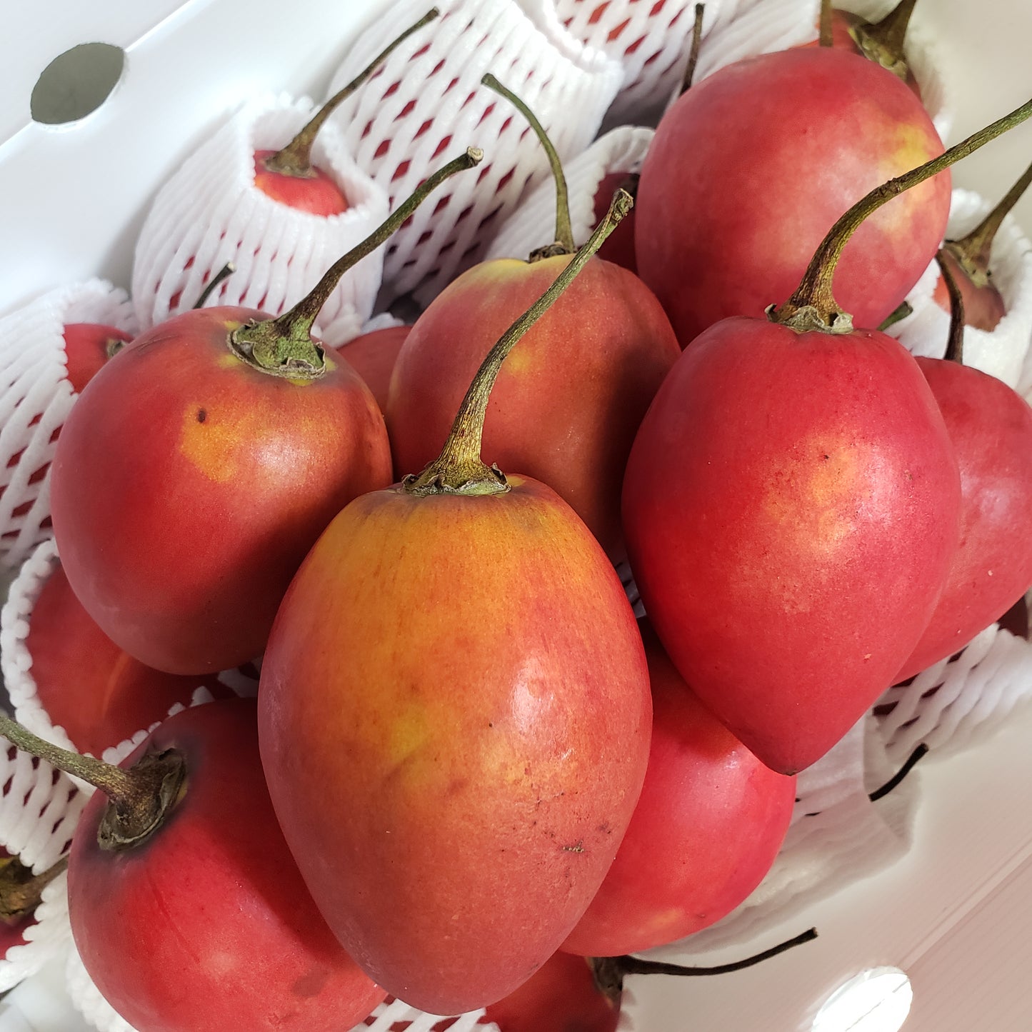 Tomate de Arbol, Tree Tomato Per Box