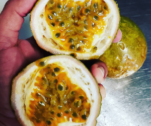 Passion Fruit per Pounds