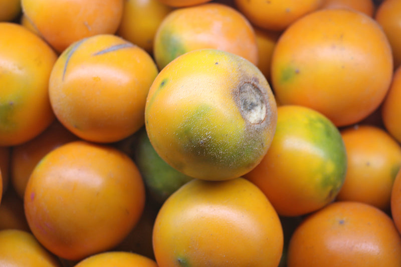 Lulo or Naranjilla 5.5 Pounds