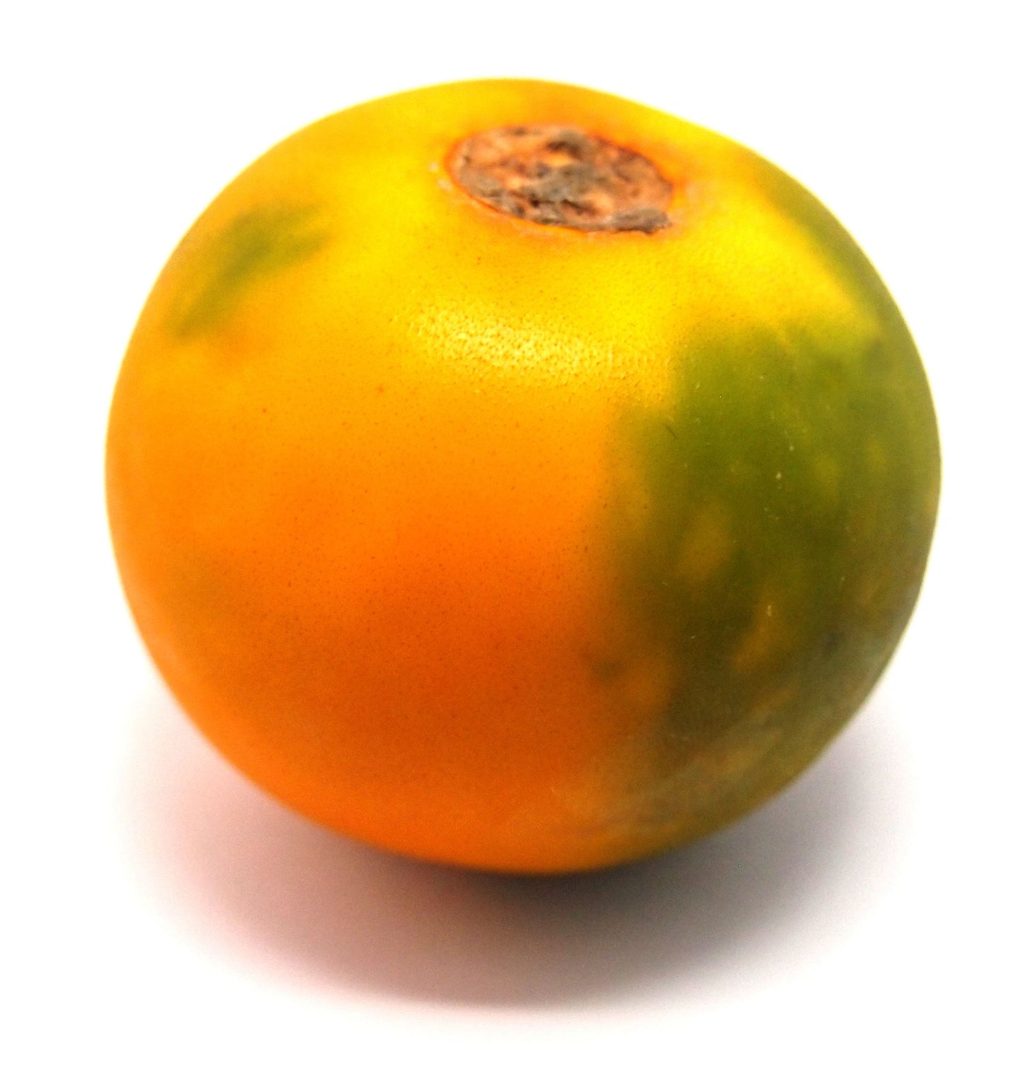 Lulo or Naranjilla 5.5 Pounds