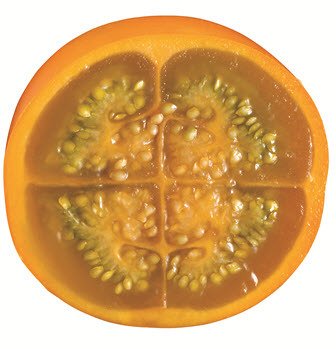 Lulo or Naranjilla 5.5 Pounds