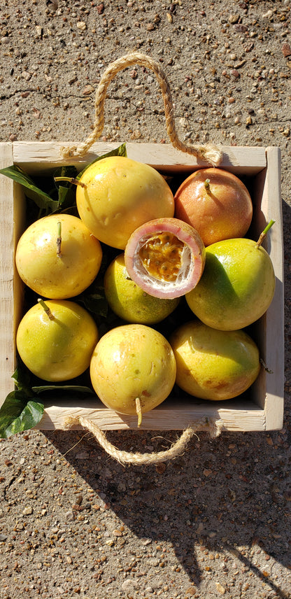 Passion Fruit Case Per 5 Pounds
