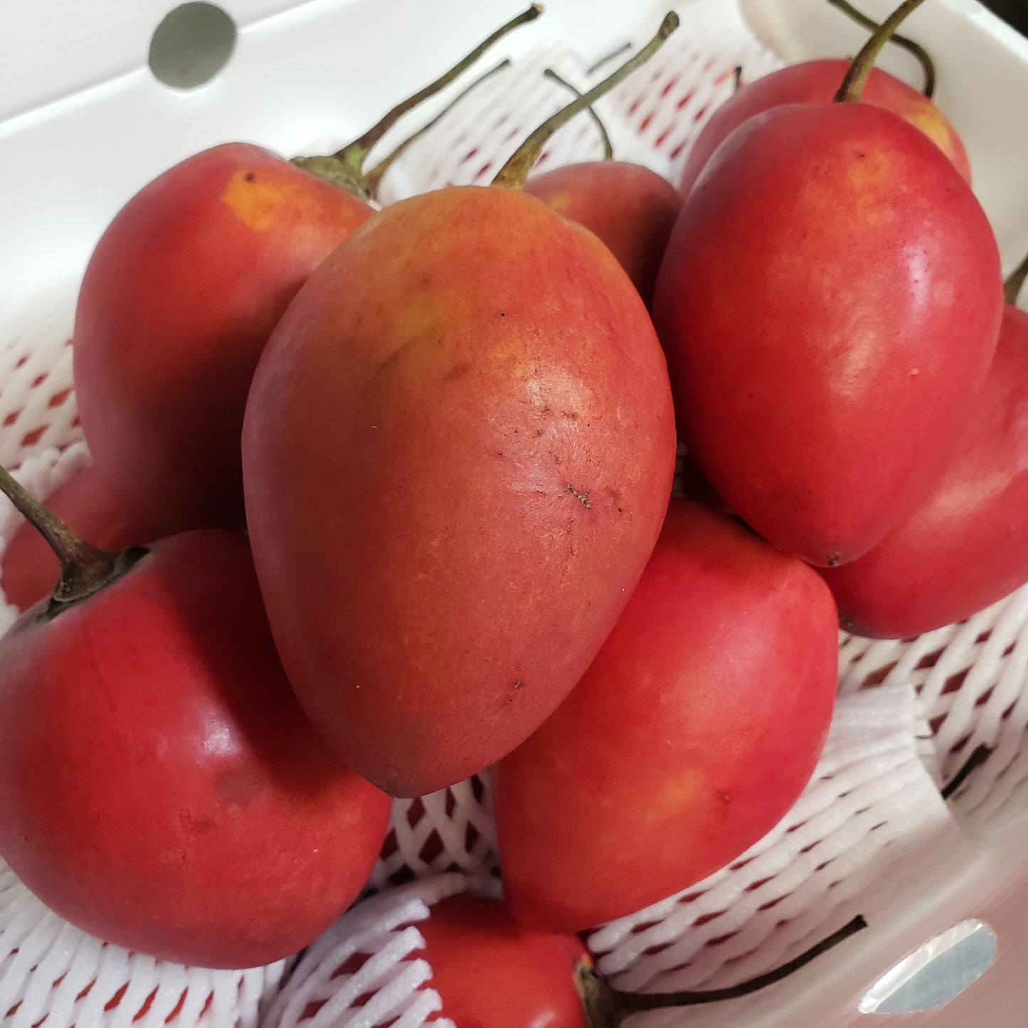 Tomate de Arbol, Tree Tomato Per Box
