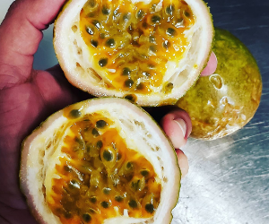 Passion Fruit Case Per 5 Pounds Free Shipping