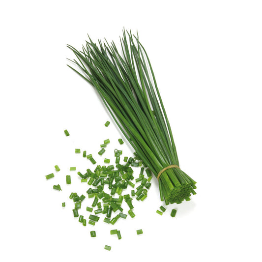 Chives / Cebollin